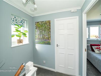 Picture 14